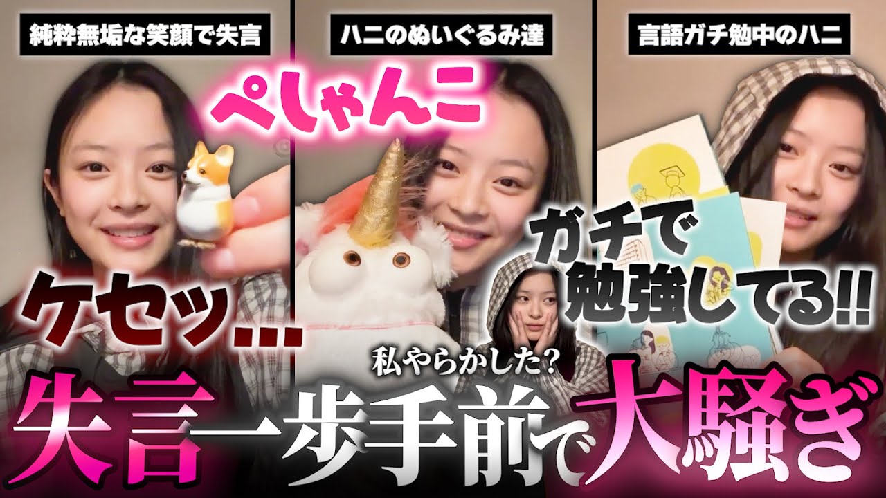 【おもろパム】純粋無垢なハニ 失言一歩手前でバニズ大騒ぎwww▼ハニの初顔出しインスタソロライブ!!【NewJeans NJZ / 日本語字幕】