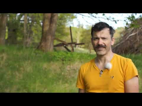 Förebygga svärmar - Vi gör en avläggare av Elgon