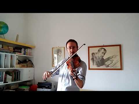Darte un beso - Prince Royce (violin cover by Vincenzo Monaco)