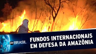 Miniatura do vídeo