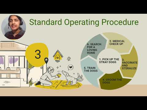 Woofle - Where Every Dog Finds A Friend