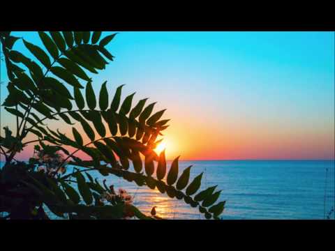 Malino - Lily Of The Valley (Hawaiian Reggae)