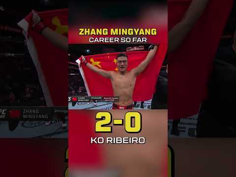 UFC video artwork
