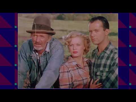 Revisiting Remember the Night Movie - 6 Reasons Why It's the Totally Messed Up Classic