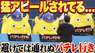 【避けては通れぬ】チャピー猛烈アピール『パテレ行き▪️パテレ行き▪️パテレ行き』