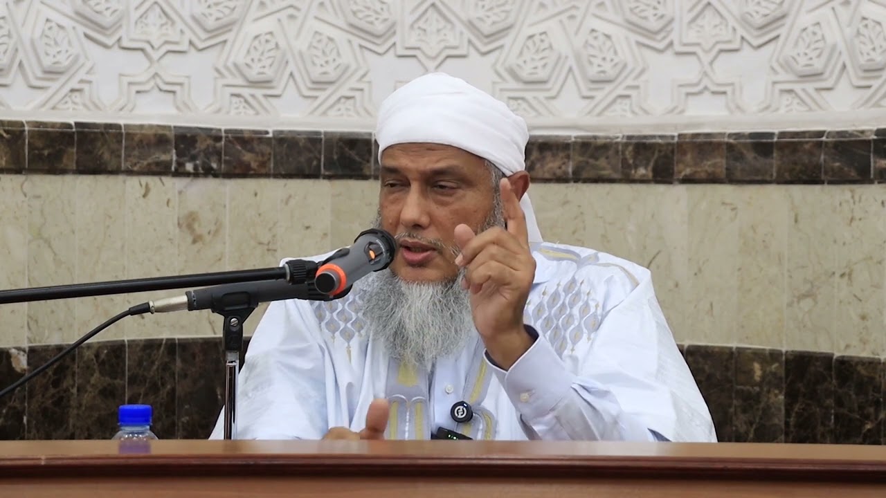 عالجت قصة يوسف الكثير مما نعيشه في حياتنا اليومية | فضيلة الشيخ محمد الحسن ال?