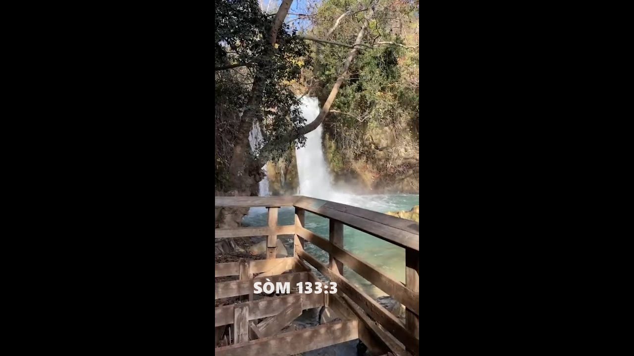 SE TANKOU LAWOUZE KI SÒTI SOU MÒN EMON