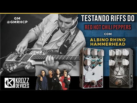 Testando Riffs do RHCP com Krozz Devices Albino Rhino e Hammerhead