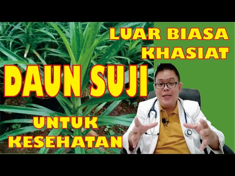 AMAZING!!!!! THE HEALTH BENEFITS OF SUJI LEAVES