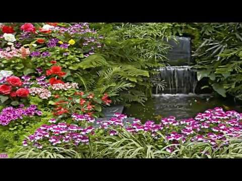 Our Birthday Wishes For You Dear Laura!