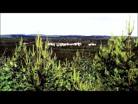 Pauli Räsänen - SIkermä..🎵🎵🎵🎵🎵