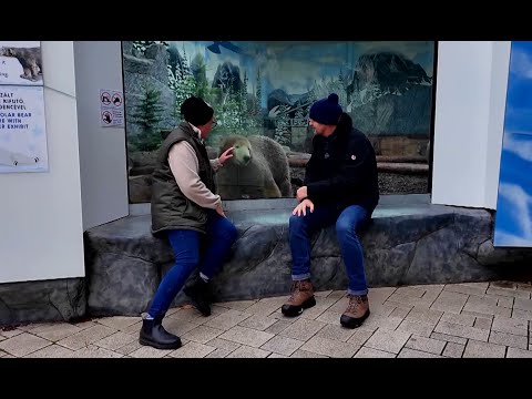 Forró vizek és jegesmedvék :)