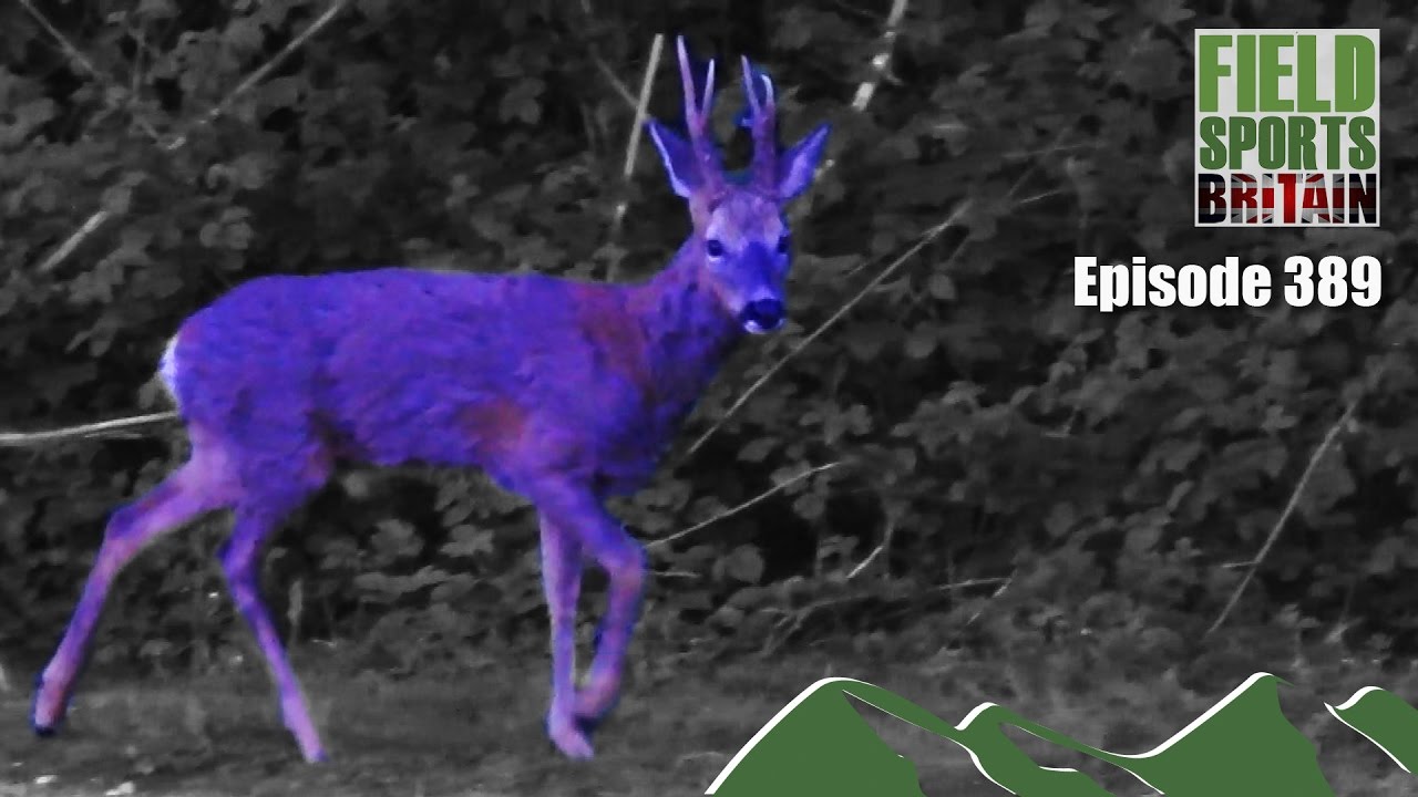 Fieldsports Britain - 'Roehow'