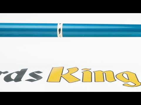 Rage RG95 Pool Stick - Cue View 360 - 4K Ultra HD Rotating 360 Degree Pan & Zoom