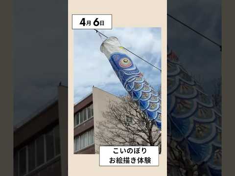 動画を見る