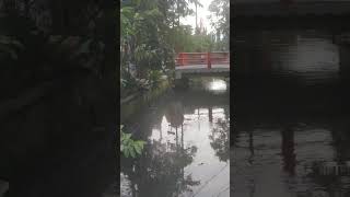 Download lagu #Buta karena cinta@slametmarsaid546 #creator mp3 Download lagu #Buta karena cinta@slametmarsaid546 #creator mp3