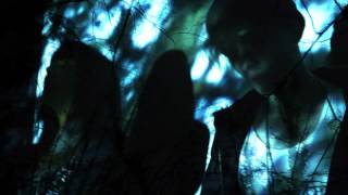 Visions Of Trees - TURN 2 U (Official Video)