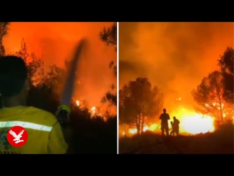 Turkey wildfires rage as airport forced to shut