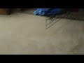 The Struggle Of A Puggle Balto S Bedroom Got Renovated