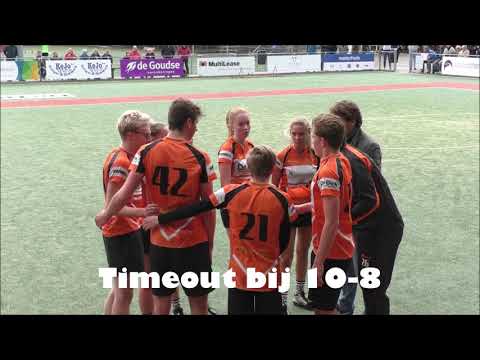 Pernix A1 - Weidevogels A1 | Leids kwartiertje