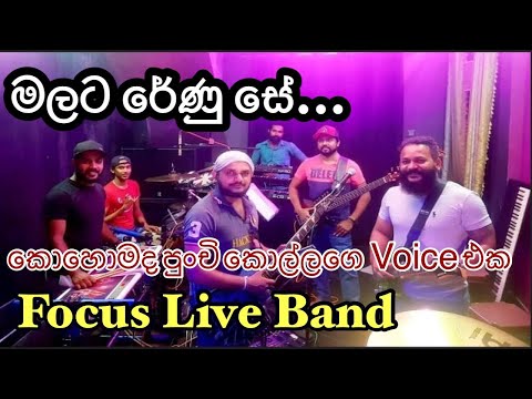 Malata Renu se - Kandy Focus Music Band
