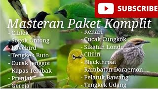 Download lagu Masteran Paket Komplit | Masteran disukai Juri | Masteran Burung Lomba Murai Kacer Cucak Ijo DLL mp3 Download lagu Masteran Paket Komplit | Masteran disukai Juri | Masteran Burung Lomba Murai Kacer Cucak Ijo DLL mp3