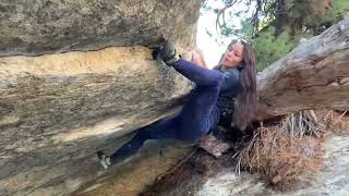 Video thumbnail of Dream Tiger, V11 (low). Black Mountain