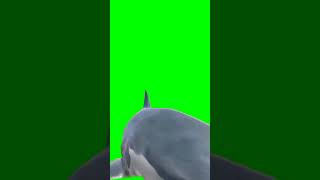 Download lagu shark green screen video mp3