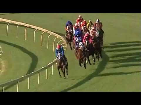 Lobo`s Legend 2018 SA Classic winner