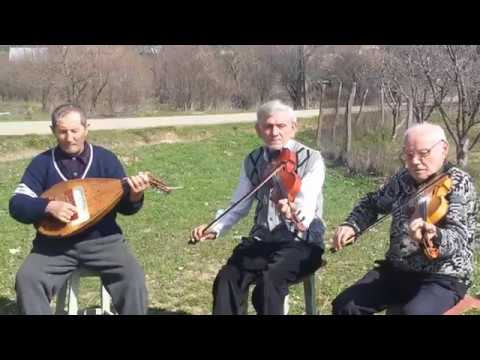 TARAFUL DE LA GRECESTI Judetul Dolj - fragment muzical