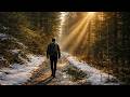 A Quiet Morning In The Forest Early Spring Walk In France 4K