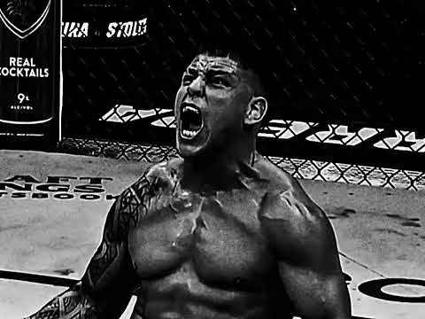 Welcome to the Octagon.