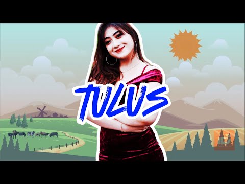 Shinta Arsinta X Dhimasbad - Tulus [Official Lagu Pop Jawa Lirik] - Gamon Lirik