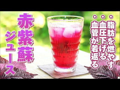 自分でカラントジュースを作る:とても簡単です 植物