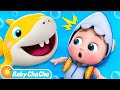 Baby Shark | Baby Shark Doo Doo Doo Dance | Baby ChaCha Nursery Rhymes & Kids Songs