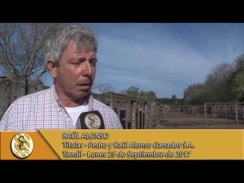25-09-17 Nota Raúl Alonso - Pedro y Raúl Alonso Ganados S.A. - Tandil.