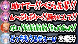 頼りにしていたヴィヴィがうるさすぎてぶちぎれ！更に途中参加のフレアもうるさくて疲弊するぺこらｗ【ホロライブ切り抜き/兎田ぺこら】
