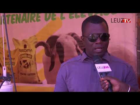 Vidéo : Pourquoi La race LADOUM coute entre 10 et 30 millions de fcfa ? Vidéo : Pourquoi La race LADOUM coute entre 10 et 30 millions de fcfa ?