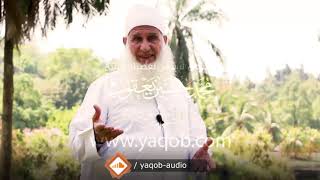 16 - الجزء السادس عشر |( #قرآنا_عجبا )| الشيخ محمد حسين يعقوب image