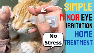 How to Treat MINOR Cat Eye Infection or Irritation