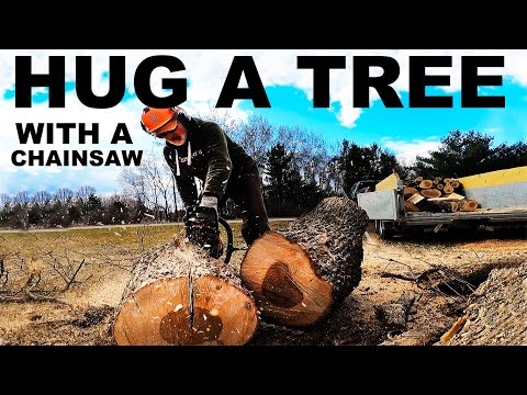 HUG a TREE TODAY... THEN CUT IT DOWN