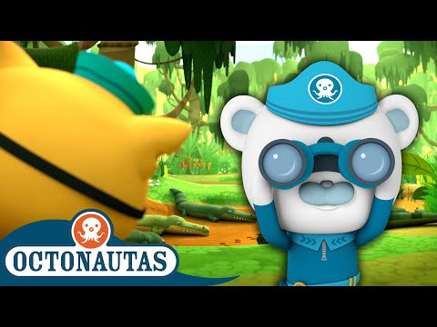 Octonautas - Especial de Semana de Vida Selvagem Nacional!🦎🐊 | Episódios inteiros