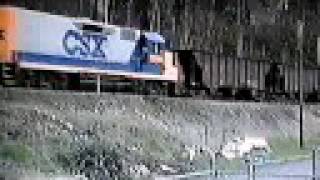 preview picture of video 'CSX The Gauley Shifter at Kanawha Falls, W.Va. on 3-9-1992'
