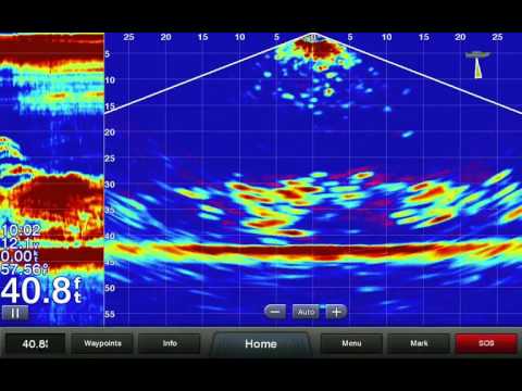 Cheapest livescope Clearance