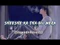 Dil Toot Gya शीशे का था दिल मेरा Slowed Reverb Heart Touching Song She