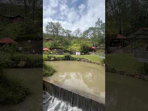 📌Hacienda la florecía, perquin Morazán🇸🇻 #viral #videoviral #viraliza #parati #fyp