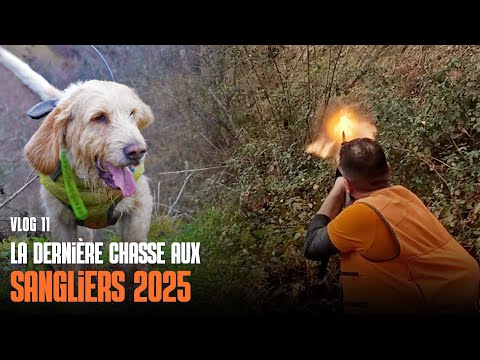 La dernière chasse de saison 2025 | Un beau tableau pour finir la saison !