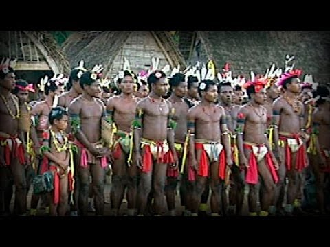 Warriors of the Sea