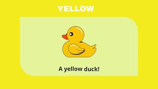 Colors | Learn Colors with Real Object! #colors