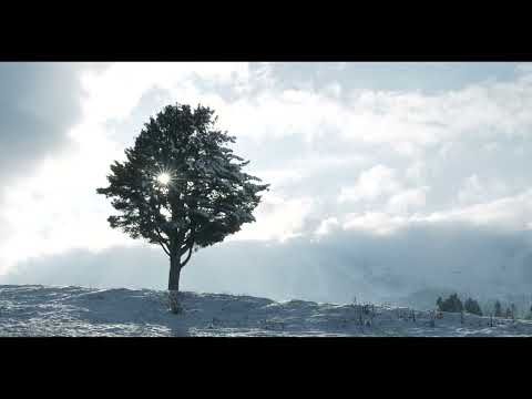 Gulmarg Travel Guide | Ultimate Activities & Budget Tips | Himalayan Adventure | Ep. 15